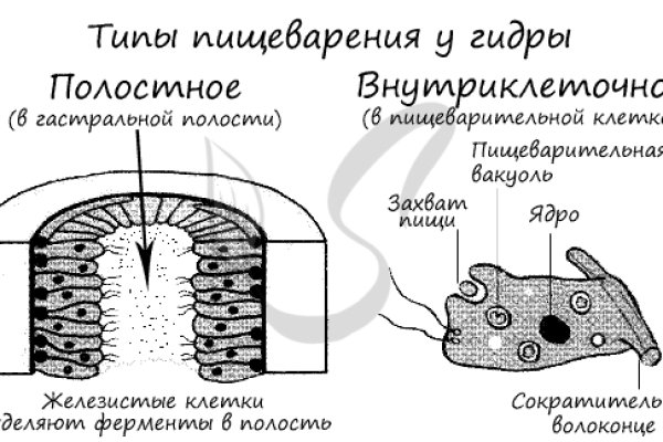 Кракен магазин krakens13 at