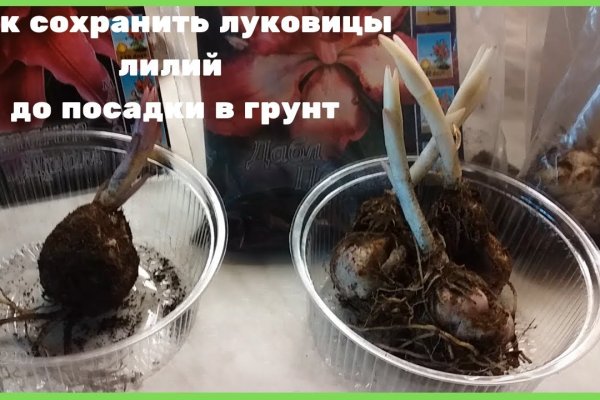 Кракен маркет даркнет только через стор