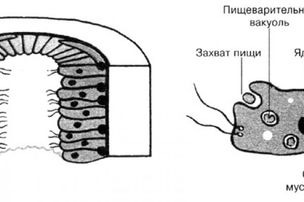 Кракен ссылка на сайт com