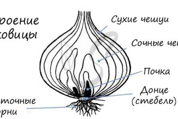 Кракен верификация